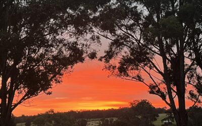 Dunmovin Estate Farm Sunset